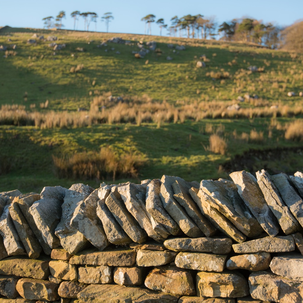 Cap stones top a dry stone wall in Wensleydale, Yorkshire Dales